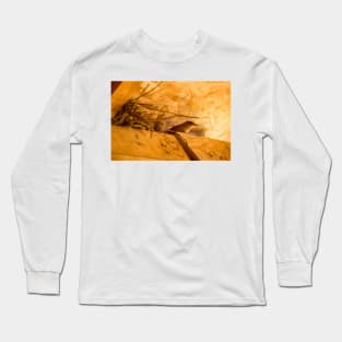 blb wren Long Sleeve T-Shirt